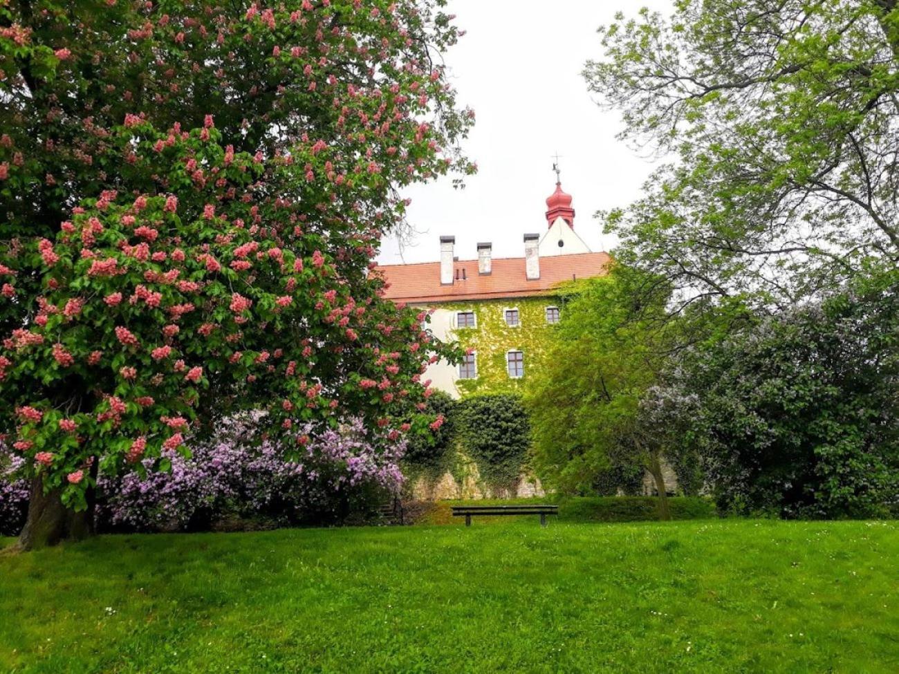 Lev I Sova Aparthotel Mělník Exterior foto
