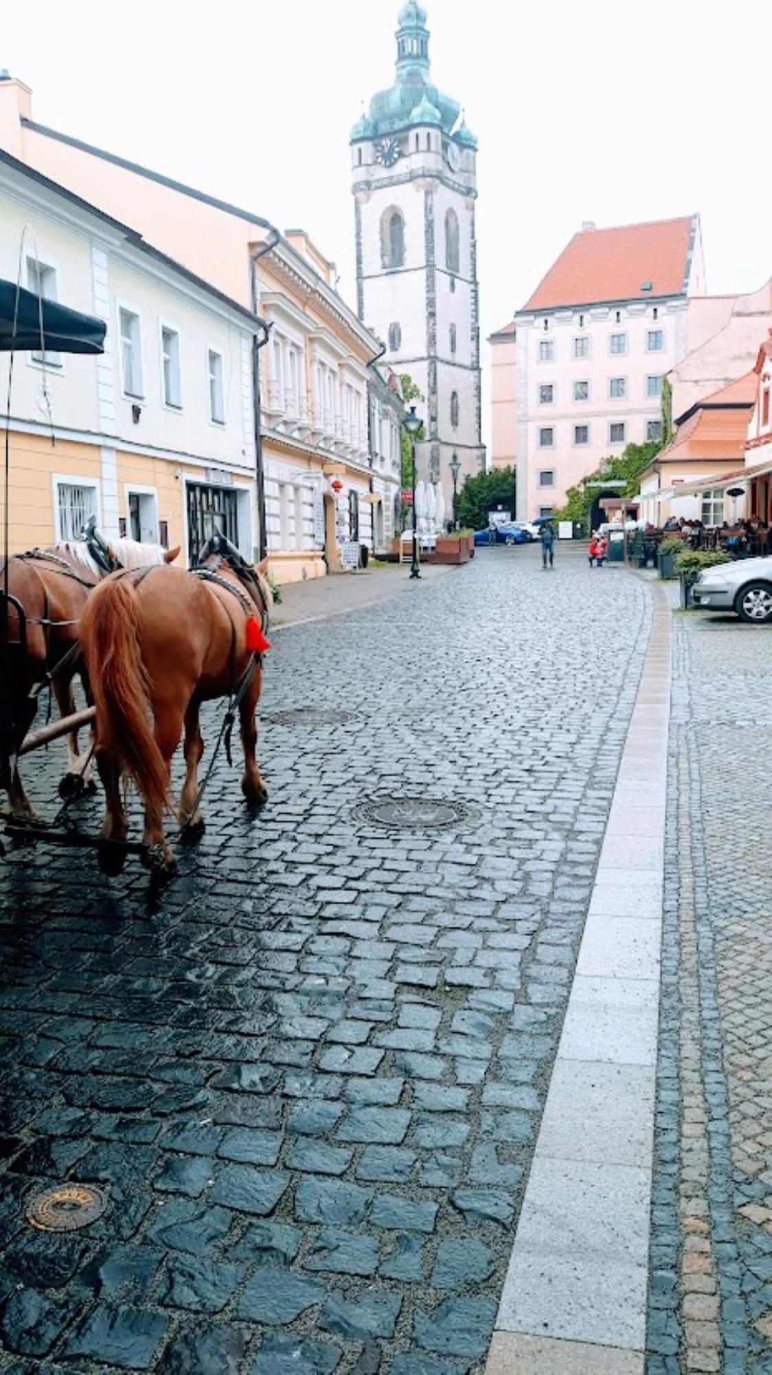 Lev I Sova Aparthotel Mělník Exterior foto